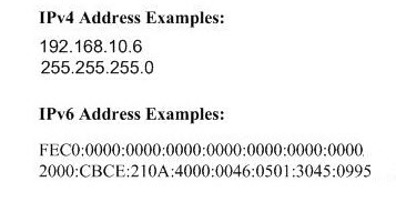 IP Address